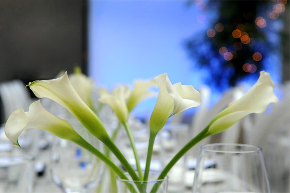 Neiman Marcus Dinner