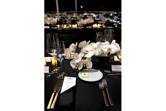 Omega Private Dinner