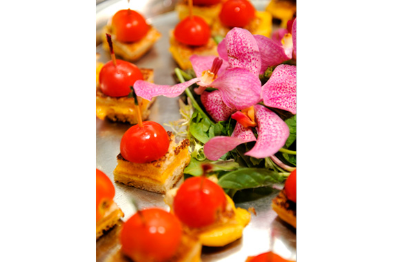 Grilled Cheese Bites