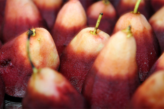 Red Wine Poached Pears