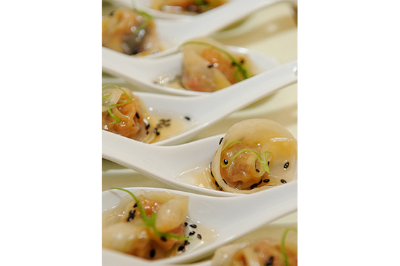 Vegetable Beef Wanton